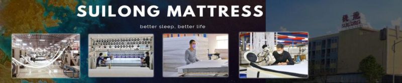 Comfortable Organic Latex Mattress 100% Natural Super Soft Foam Top Pocket Spring Mattress