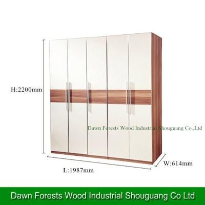 Five Doors Panel Wardrobe Clost