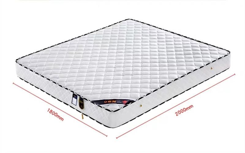 New Style Popular Hotel Home Furniture Custom Size Roll up Bedroom Pocket Spring Memory Foam Mattress in a Box