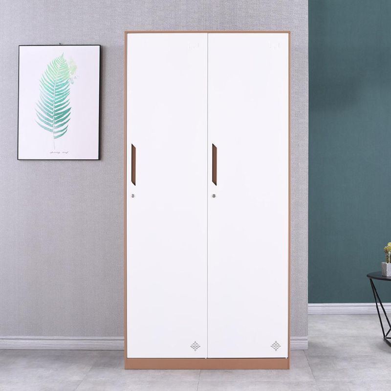 Modern Fashion Modern Metal Cabinet 2 Door Cheap Wardrobe