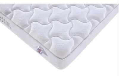33cm Rectangular Dreamleader/OEM Compress and Roll in Carton Box Back Support Clinical Mattress