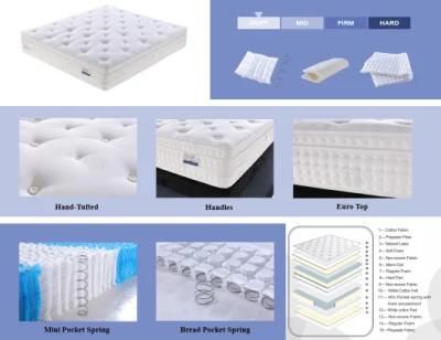 Memory School Dreamleader/OEM Compress and Roll in Carton Box Latex Foam Mattress