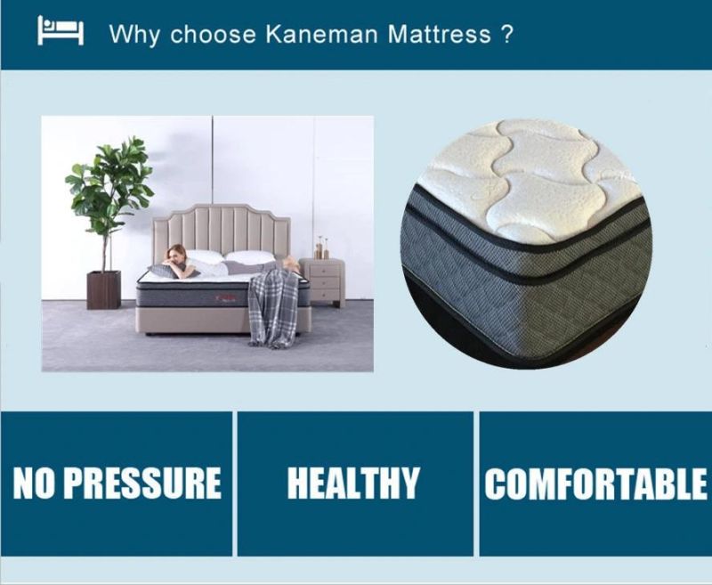 Euro Top Mattress Pocket Spring Mattress Foam Mattress Bed Mattress