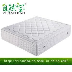 Healthy Spring High Quality Memory Foam Royal Mattress (ZRB-323)