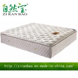 Bed Room Furniture High Quality Sleep Well Pocket Spring Mattress (ZRB-306)