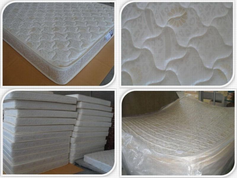 Compressed Tight Top Spring Mattress (KM-CP001)