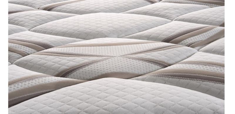 Soft Foam Sleeping Cheap Price Foam Mattress