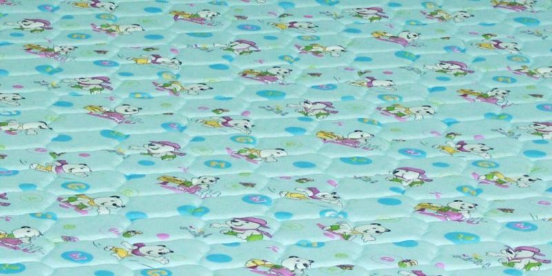 Cheap Bed Mattress/Comfort Foam Mattress/Thin Mattress