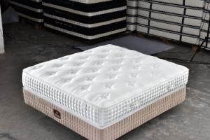 Wholesale China Xxxn Mattress Pad J-201 Kitchen Ca Polyester Fabric Tight Top Bonnel Spring Student Mattress for School