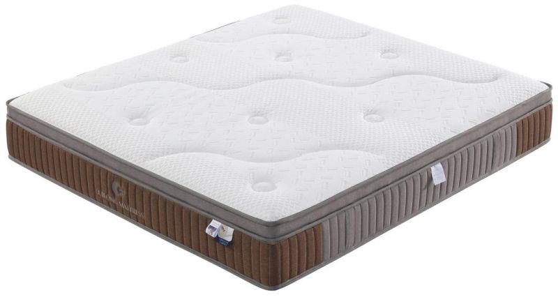Comfortable Mattress China Home Furniture Mattress Latex Pocket Spring Mattress