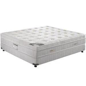 Low Price Pocket Spring Mattress (Ms-steries)