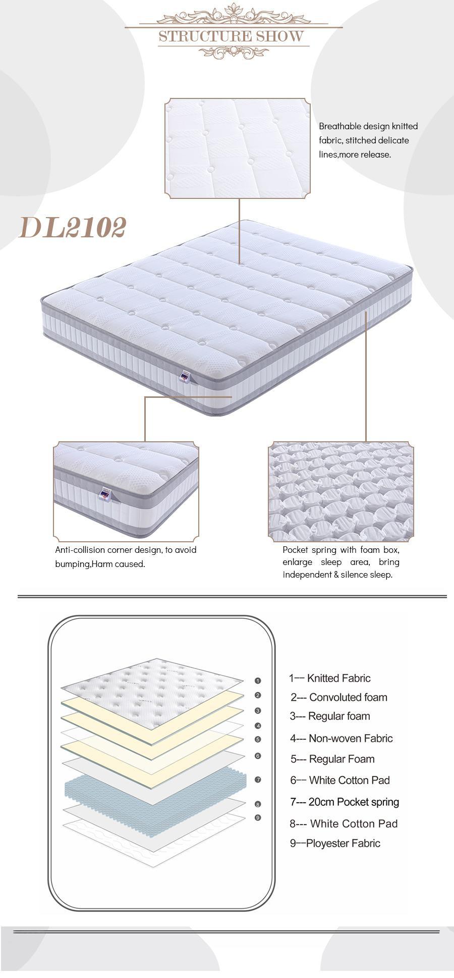 Pocket Spring + Foam Encasement Dreamleader/OEM Compress and Roll in Carton Box Sealy Mattress Bedmattress
