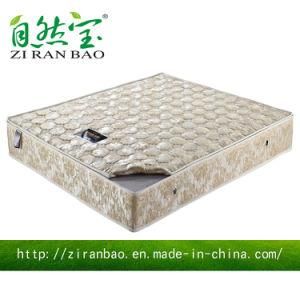 Knitted Fabric Nature Coconut Spring Mattress (ZRB-858)