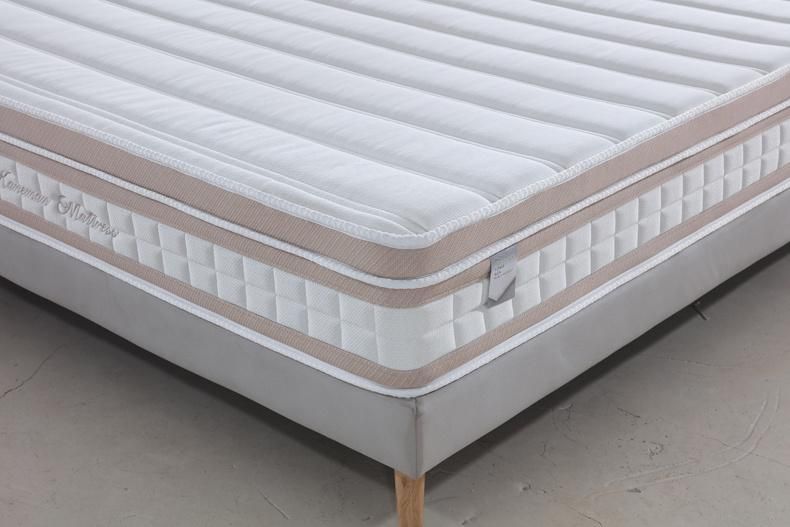 30cm Popular Style vacuum Roll up Hybrid Queen Pocket Spring Mattress on Line Price