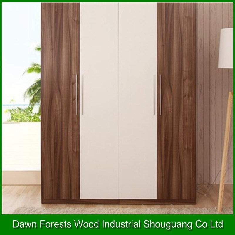 Modern Style Wardrobe with Cheap Price