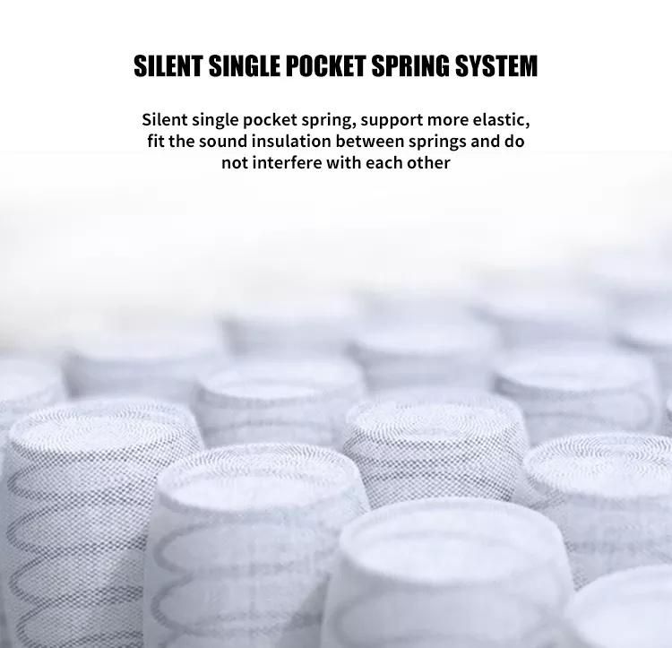 Spring Mattress Eb15-02 Comfort Support Plus Pocket Springs Queen Mattress Euro Top - Medium Plush Feel Bed - High Density Foam Layer - Mattress in a Box