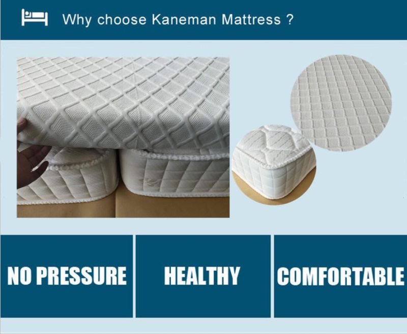 Single Spring Mattress Cheap 8inch Mattress Online Mattress