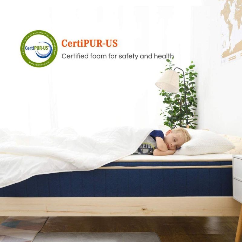 Euro Top Foam Natural Bedroom Latex Baby Mattress Sleep Compressed Hybrid Pocket Spring Mattress