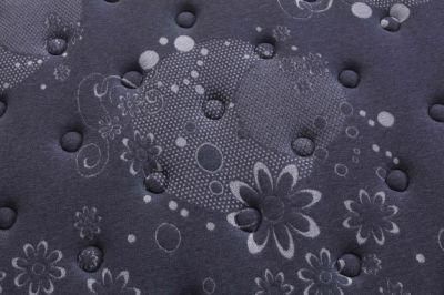 Knitted Fabric Home Dreamleader/OEM Compress and Roll in Carton Box Sweetnight Backcare