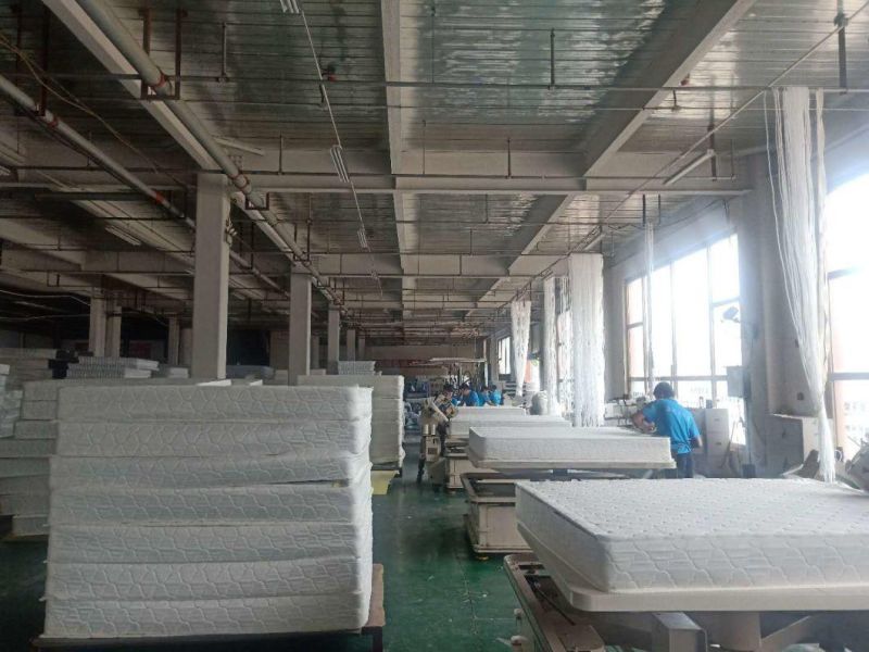 Cheap Price Promotion Vacuum Roll in Bag Foam Mattress