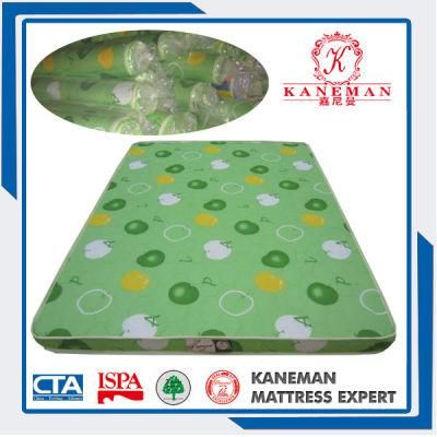 Thin Foam Mattress Rolling Foam Mattress