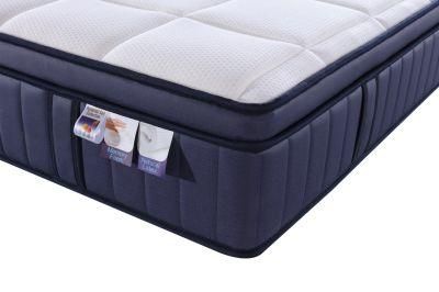 Rectangular New Dreamleader/OEM Compress and Roll in Carton Box Insect-Resistant Foam Mattress