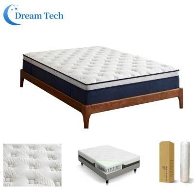 European Quality China Sleepwell Memory Foam Pocket Spring Double Pillow Top Mattress