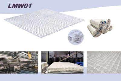 Home New Dreamleader/OEM Compress and Roll in Carton Box Dorm OEM Mattress