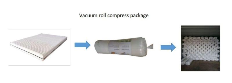 20cm 7 Zone Massage Foam Mattress Vacuum Roll Compress Wholesale Cheap Price