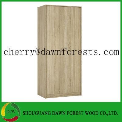 New Styles 2 Door Wardrobe for Bedroom Furniture (DFW-W005)