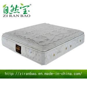 Natural Latex Raw Material for Foam Mattress