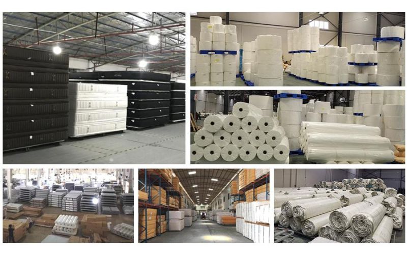 Knitted Fabric Medium Dreamleader/OEM Compress and Roll in Carton Box Fireproof Mattress Foam