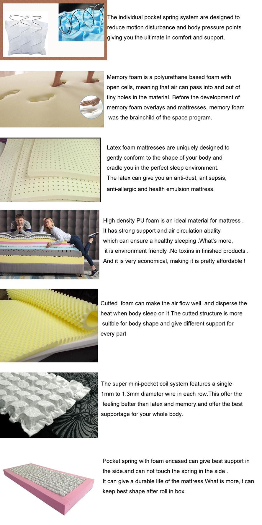 Rolled Coil Spring Mattress in a Box Custom Sizes Pillow Top Mattress