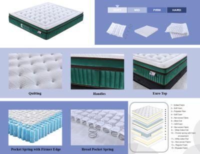 Tight Top Dreamleader/OEM Compress and Roll in Carton Box Sealy Mattress Memory Foam