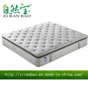 Hot Sell Enjoyable Hotel Pocket Spring Wholesale Mattress (ZRB-871)