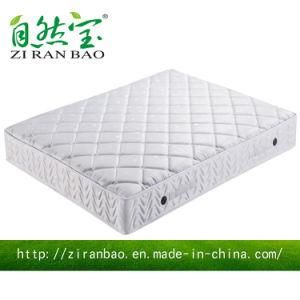 Hot Sale Grand Health Memory Foam Spring Mattress (ZRB-322)