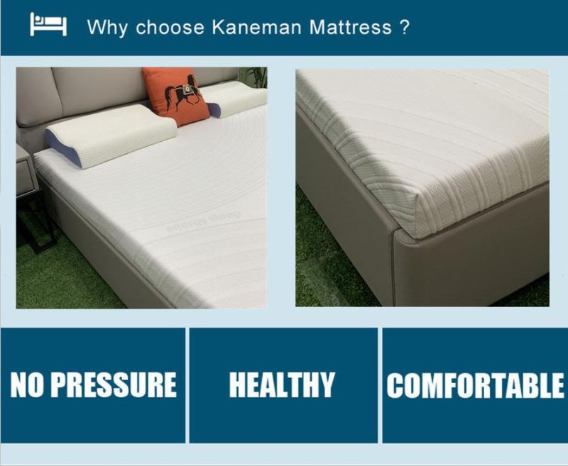 Cheap Foam Mattress Wholesale Thin Bed Foam Mattress Custom Sizes Factory Price