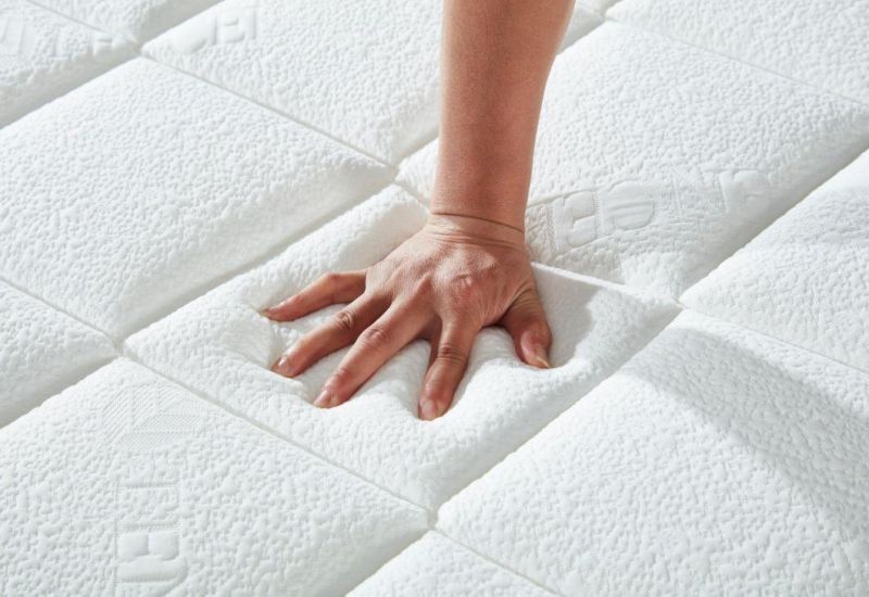 Sleepwell Medium Soft Latax Mattress Coolmax Mattress Sizes Prices of Memory Foam Mattress