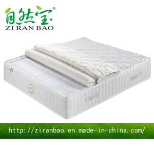 2015 Separable Talalay Latex Mattress (ZRB-880)