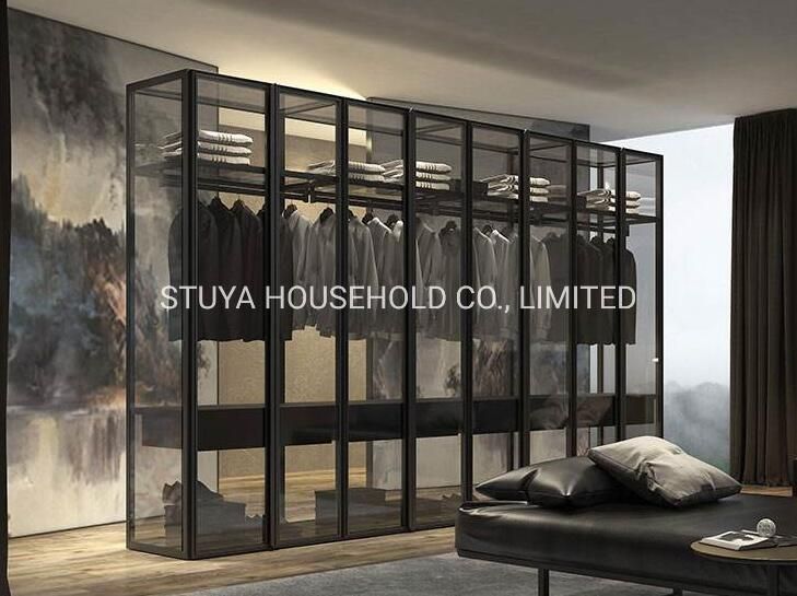 New Design Modern Style Foshan Factory Aluminum with All Glass Wardrobe Cabinet