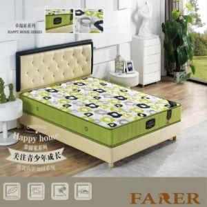Sleep Well Natural 3 E Healthy Mattress