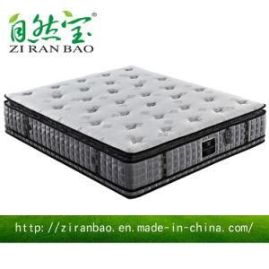 Roll up Pocket Spring Wholesale Mattress