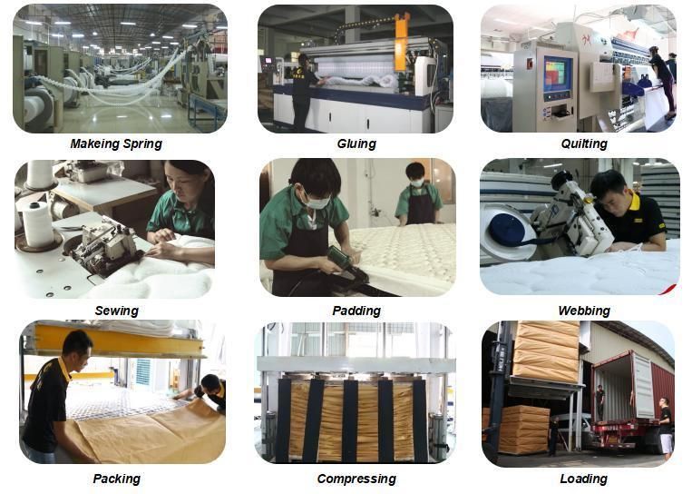 Hotel Furniture Compressed Spring Mattress for Double Bed