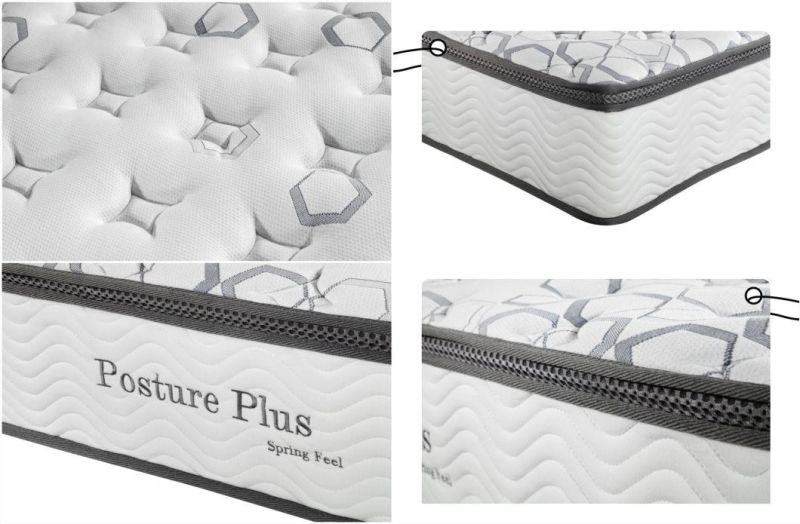 Mattress Manufacturer in China Roll Packed Spring Mattress for Hotel and Wholesale