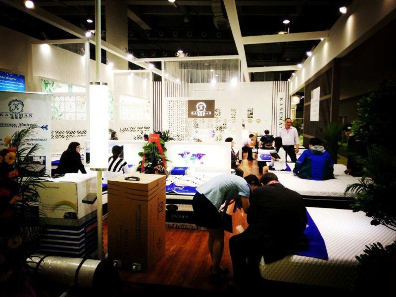 New Model Latex Mattress-Bed Mattress -Spring Mattress-Mattress
