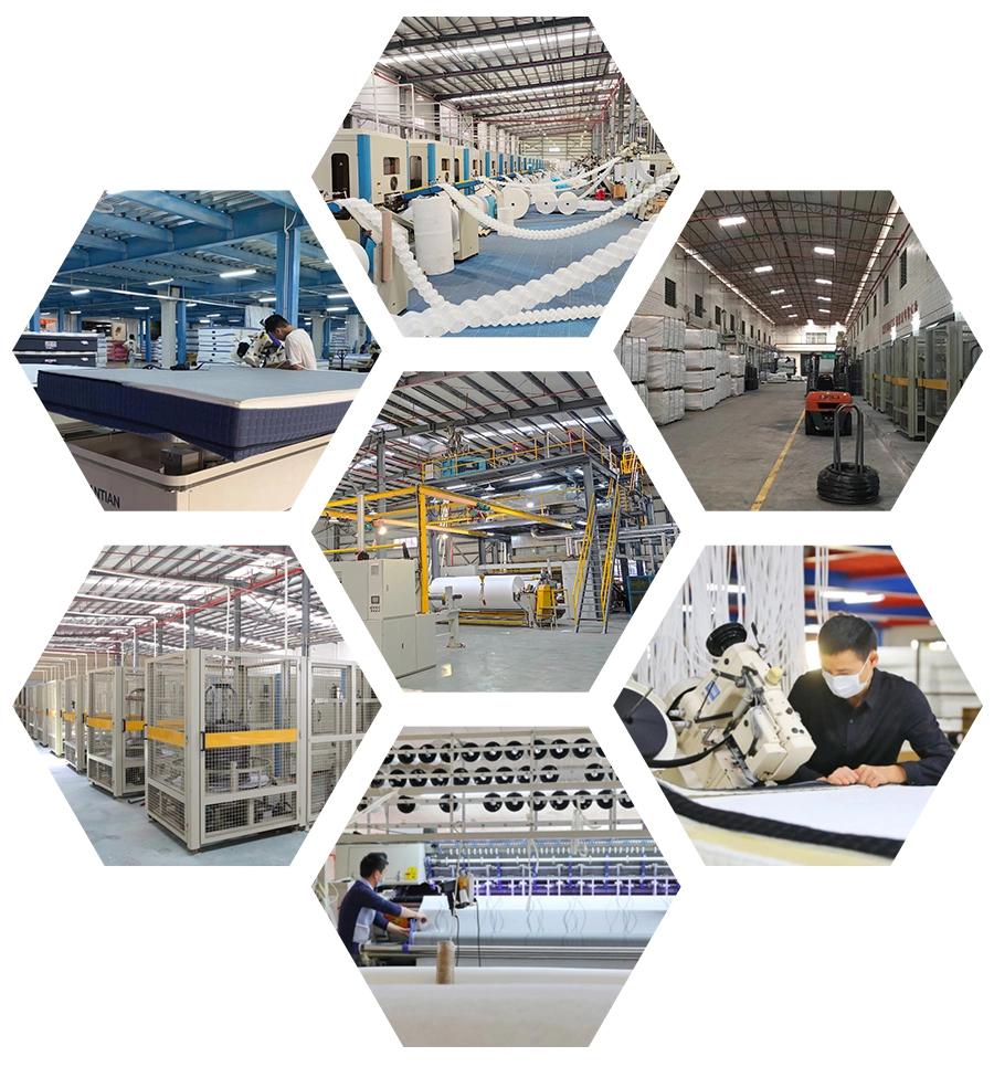 China Medium Dreamleader/OEM Compress and Roll in Carton Box Bedmattress Hospital Mattress