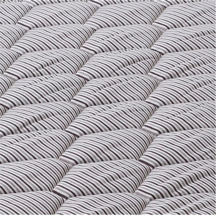 Dream Rest Health Economic Queen Rolled Sponge Foam Mattress for Sleeping Double Bed in a Box