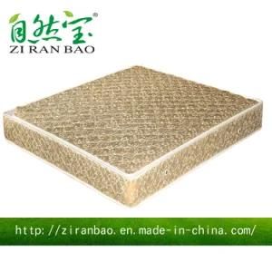 Bonnell Spring + Memory Foam Pillow Top Mattress