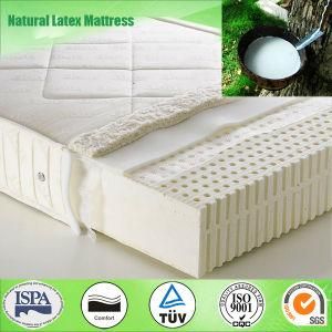 100% Natural Dunlop Talay Latex Mattress