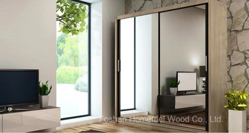 Interior Modern Mirror Sliding Door Design Home Wardrobe (HF-EY019)